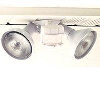 Desa HZ-5318-WH 300W Motion Sensing Light Desa HZ-5318-WH